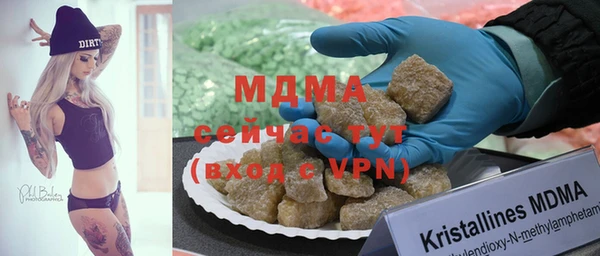 spice Инта