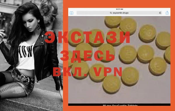 spice Инта