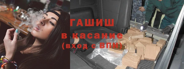 spice Инта