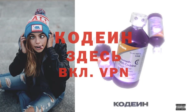 spice Инта