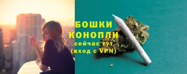 spice Инта