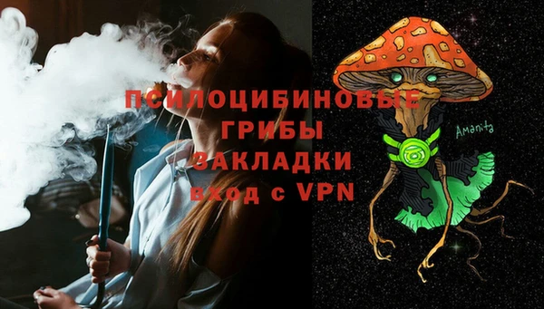 spice Инта
