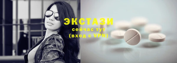 spice Инта