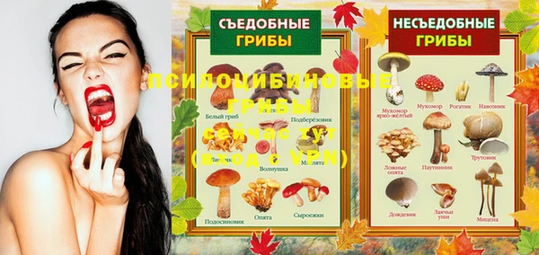 кокаин колумбия Иннополис