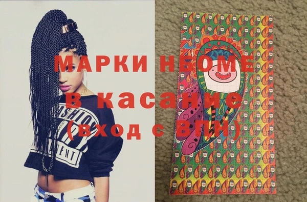 spice Инта