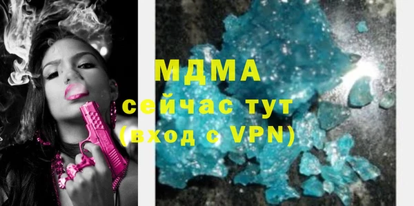 spice Инта