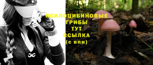 кокаин премиум Инсар
