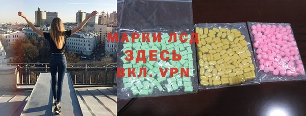 spice Инта