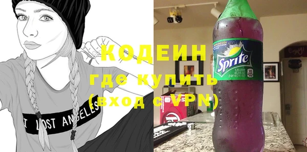 spice Инта