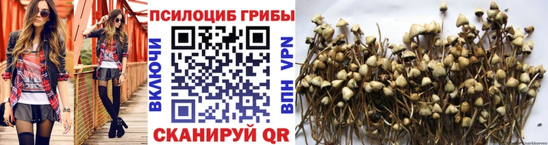 Псилоцибиновые грибы MAGIC MUSHROOMS  Купить закладки  Гудермес 